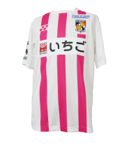 テゲバジャーロ宮崎