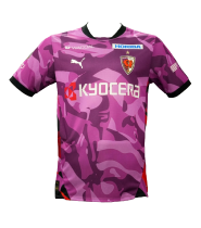 京都サンガF.C.