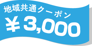 地域共通クーポン¥3,000