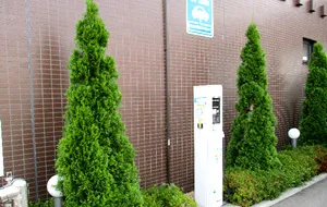 写真：電気自動車充電スタンド