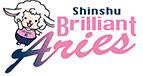 ルートインホテルズ Brilliant Aries（ブリリアントアリーズ）