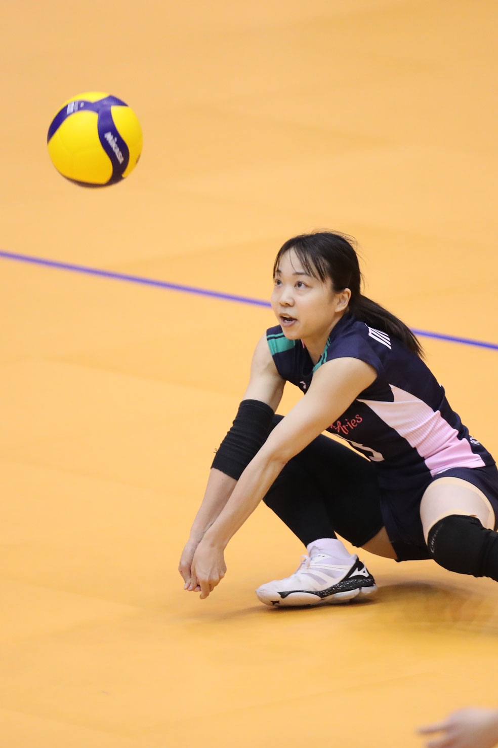 ルートインホテルズ 女子バレーボール部 ブリリアントアリーズ ルートインホテルズ 女子バレーボール部 ブリリアントアリーズ